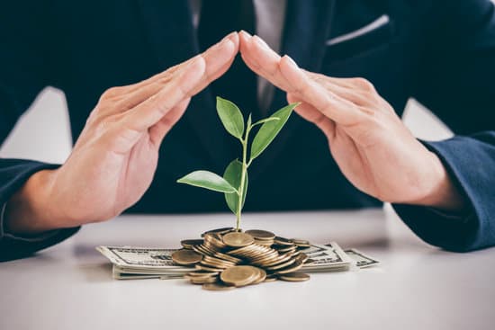 Hands of businessman protection plant sprouting growing from golden coins and banknotes, business investment and strategy concept.